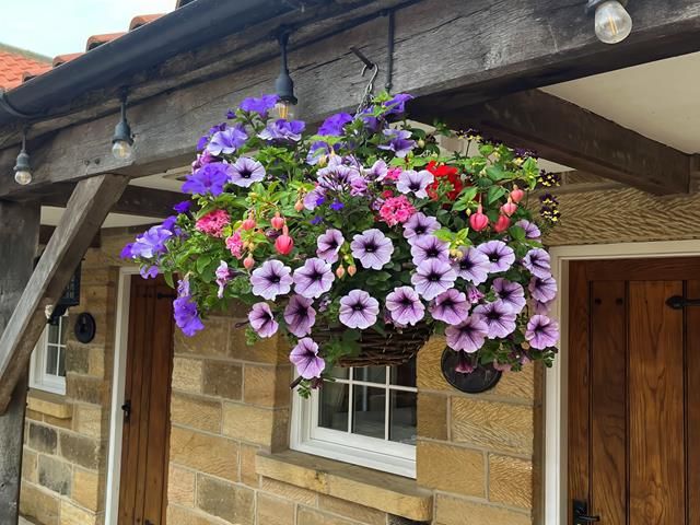 commercial-hanging-baskets (8)-kireth-ai